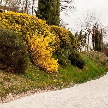 Bed and Breakfast Calmancino Delle Selve Urbino Zewnętrze zdjęcie