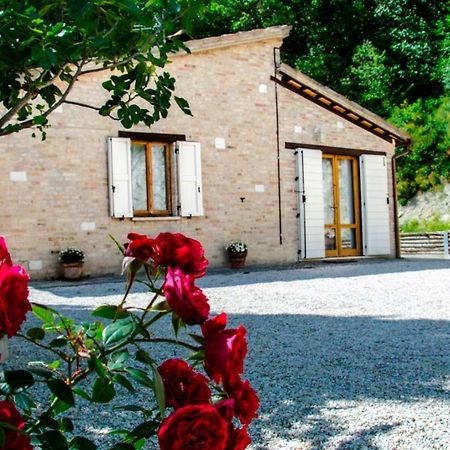 Bed and Breakfast Calmancino Delle Selve Urbino Zewnętrze zdjęcie