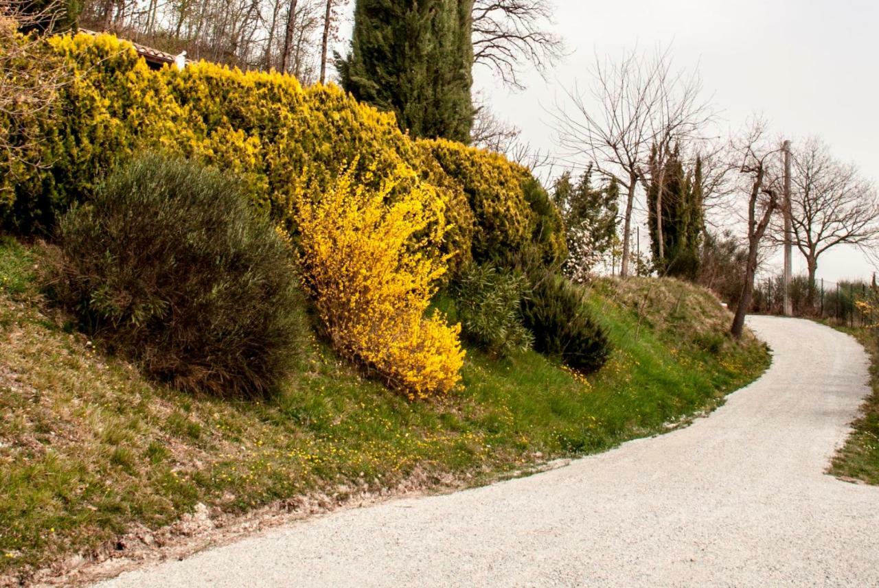 Bed and Breakfast Calmancino Delle Selve Urbino Zewnętrze zdjęcie