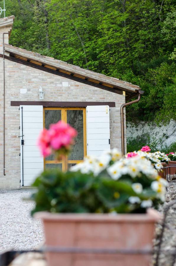 Bed and Breakfast Calmancino Delle Selve Urbino Zewnętrze zdjęcie