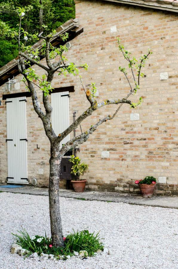 Bed and Breakfast Calmancino Delle Selve Urbino Zewnętrze zdjęcie