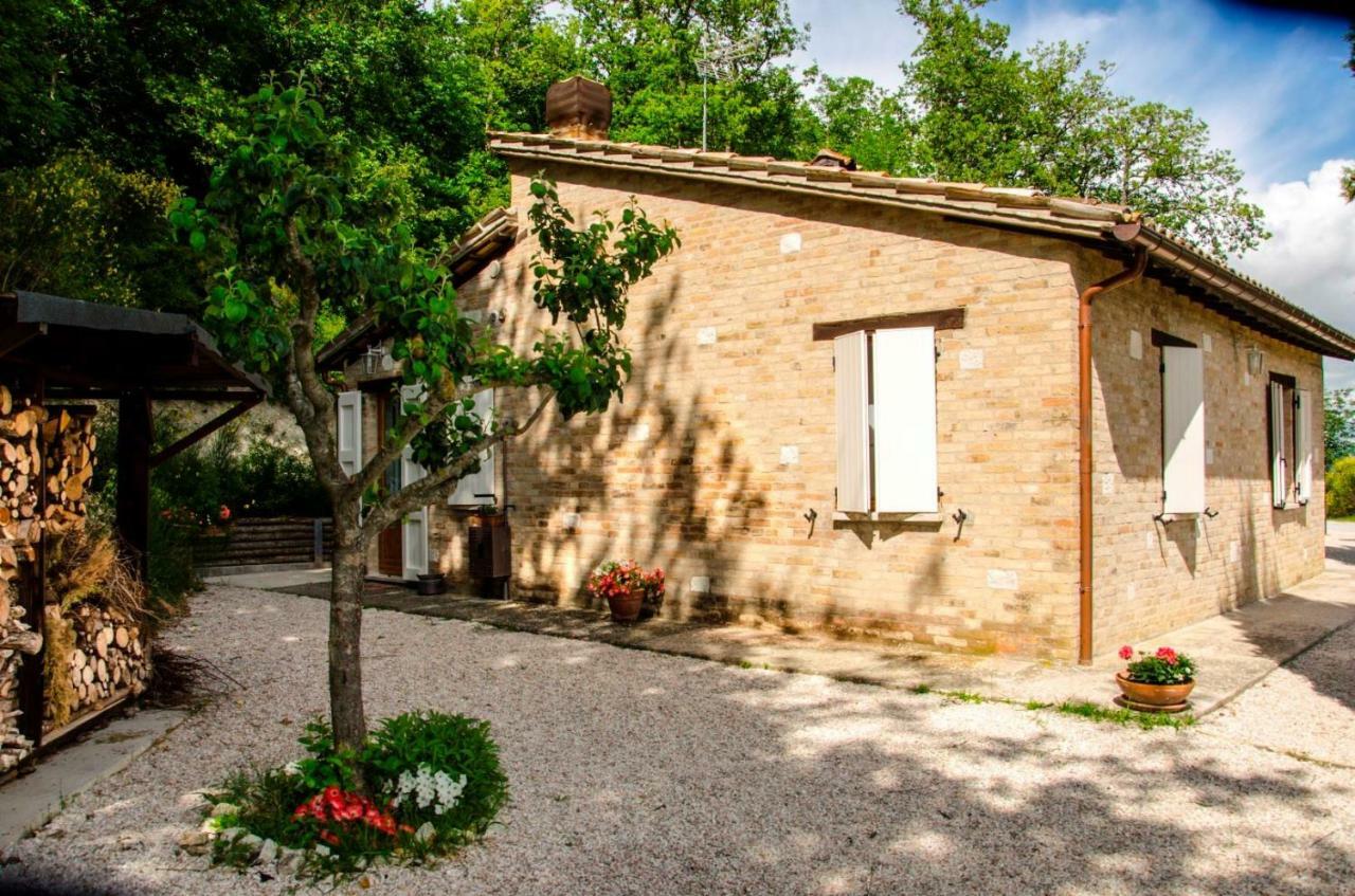Bed and Breakfast Calmancino Delle Selve Urbino Zewnętrze zdjęcie