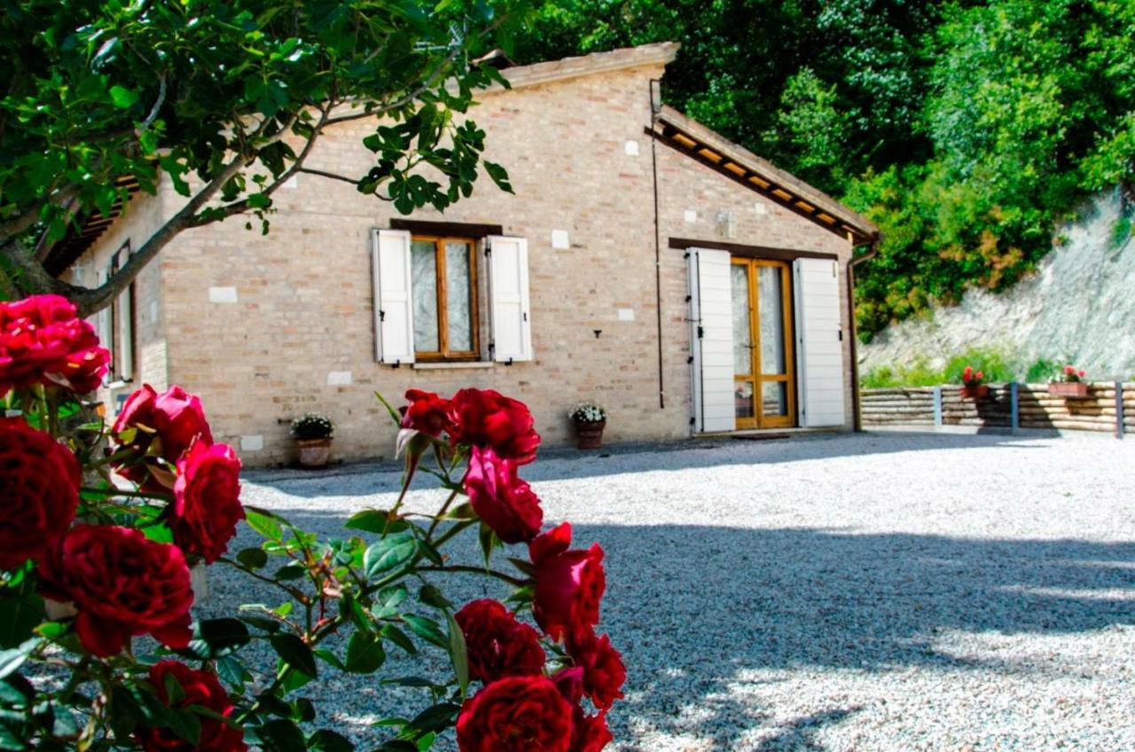Bed and Breakfast Calmancino Delle Selve Urbino Zewnętrze zdjęcie
