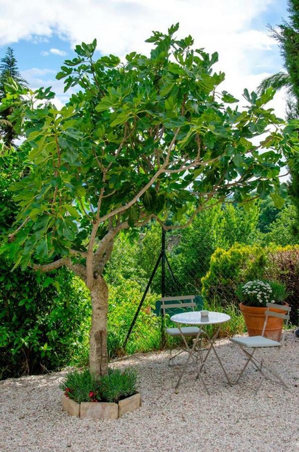Bed and Breakfast Calmancino Delle Selve Urbino Zewnętrze zdjęcie
