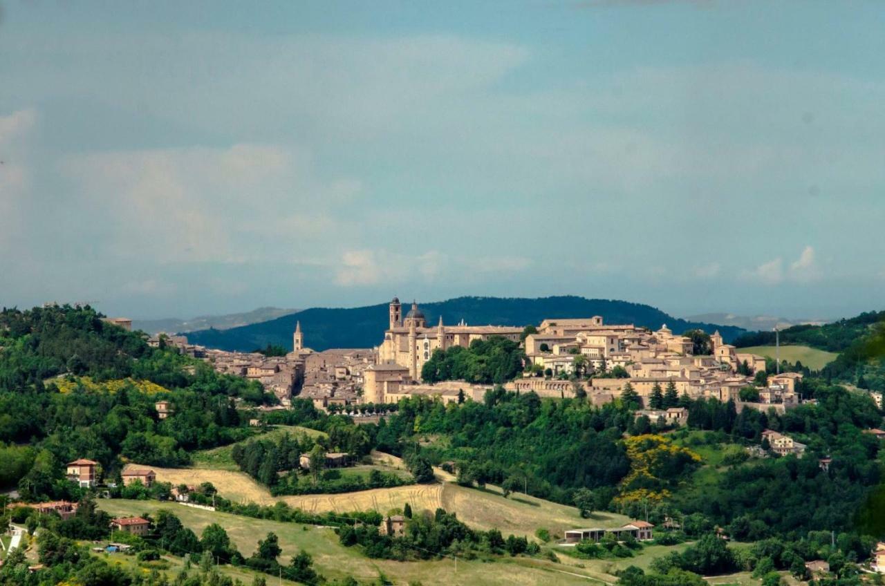 Bed and Breakfast Calmancino Delle Selve Urbino Zewnętrze zdjęcie