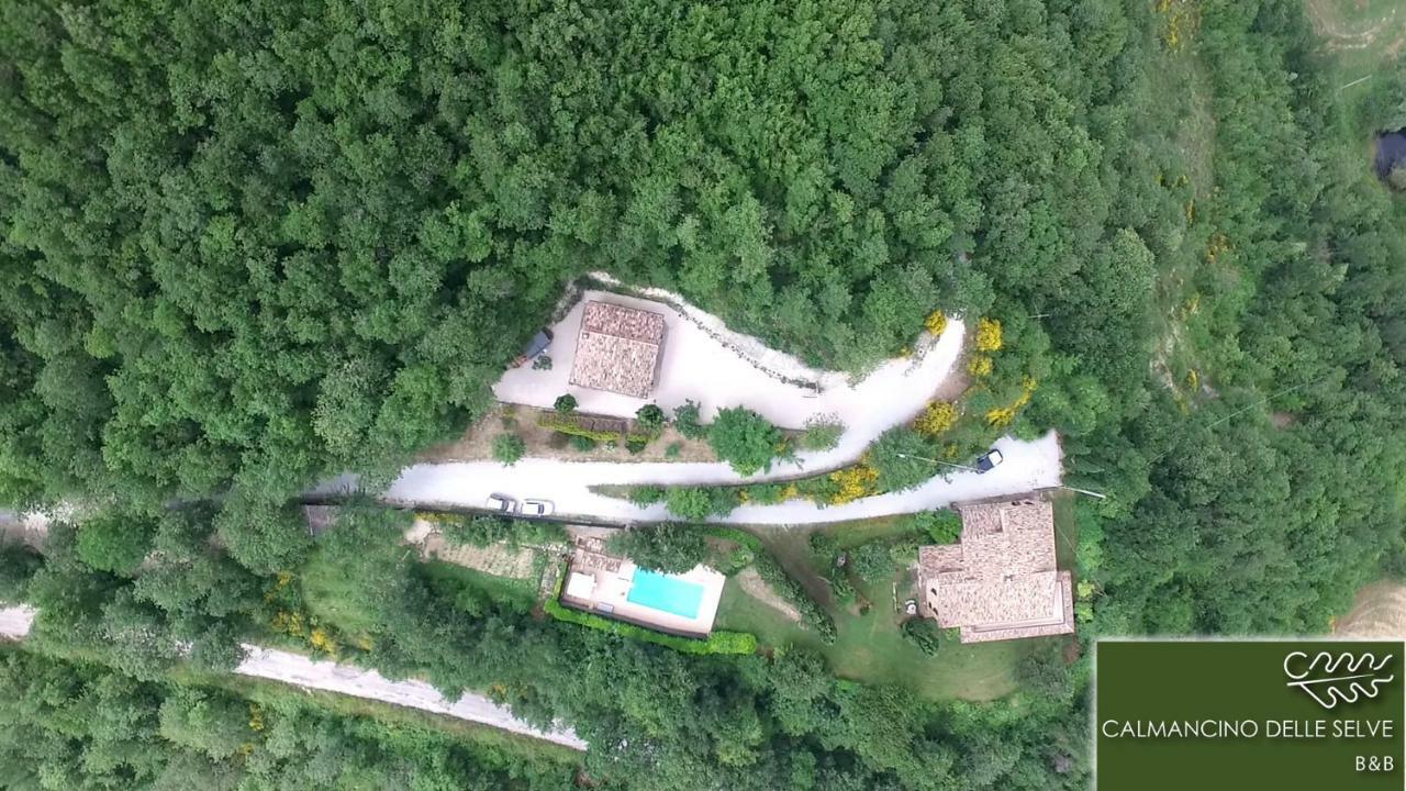 Bed and Breakfast Calmancino Delle Selve Urbino Zewnętrze zdjęcie