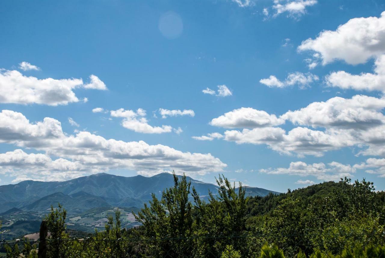 Bed and Breakfast Calmancino Delle Selve Urbino Zewnętrze zdjęcie