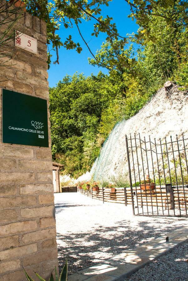 Bed and Breakfast Calmancino Delle Selve Urbino Zewnętrze zdjęcie