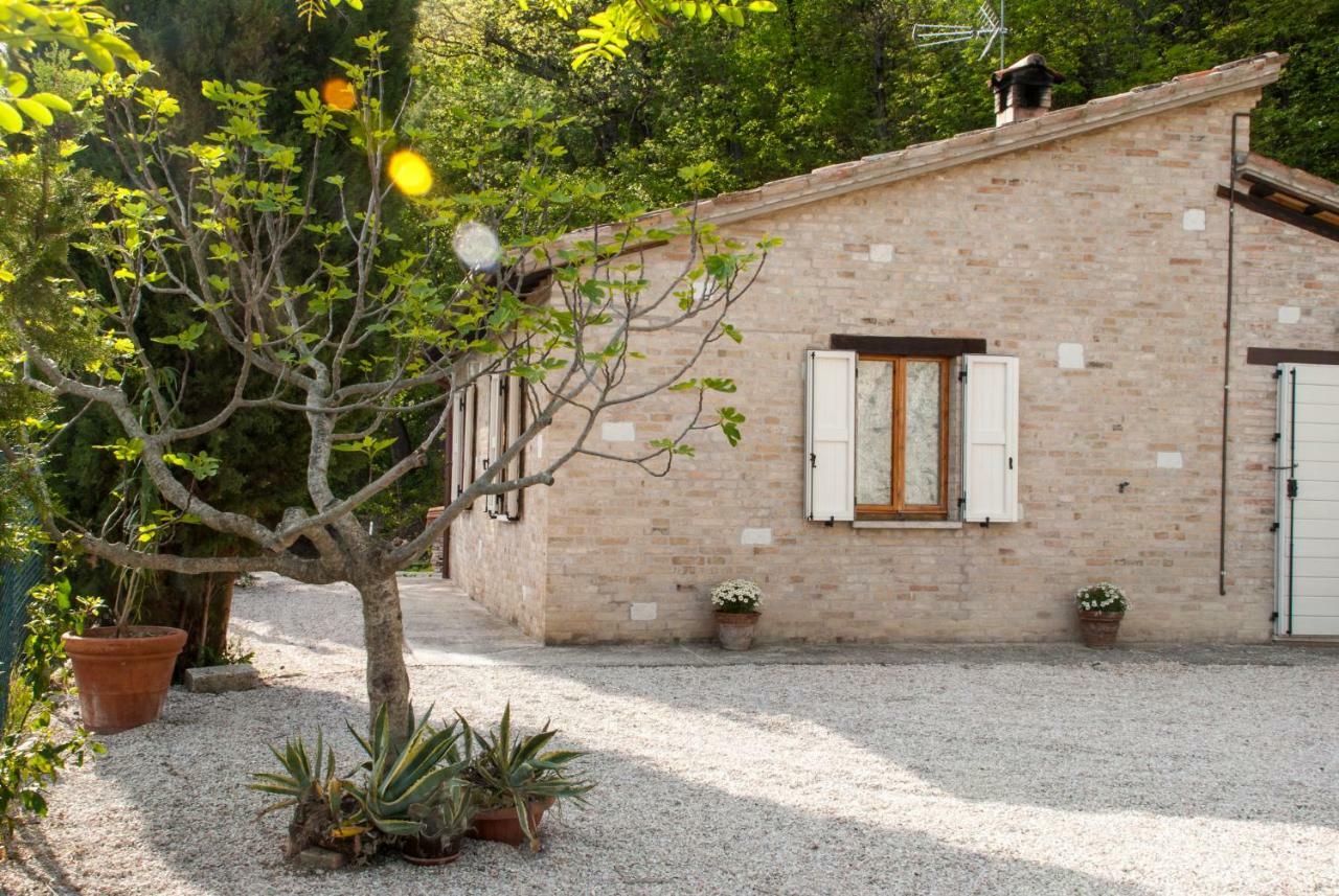 Bed and Breakfast Calmancino Delle Selve Urbino Zewnętrze zdjęcie