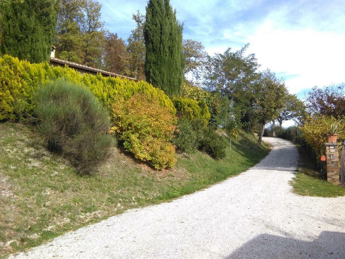 Bed and Breakfast Calmancino Delle Selve Urbino Zewnętrze zdjęcie